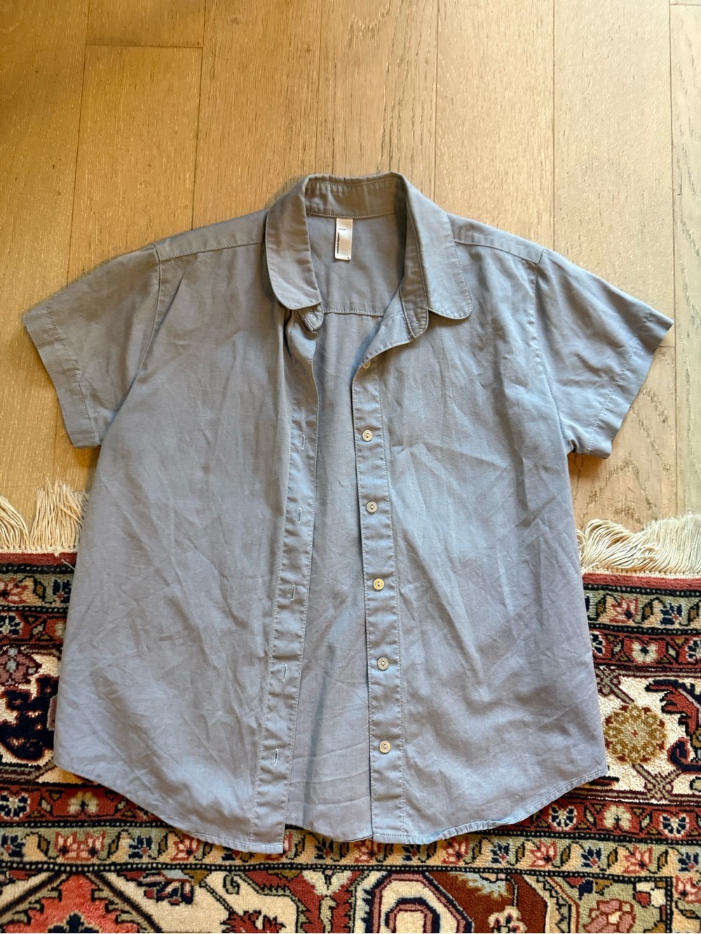 American Apparel Light Blue Short-Sleeve Button-Down Shirt